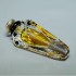Swarovski Crystal | Special Editions | Yves Saint Laurent Perfume - L.E. 2 - Paris
